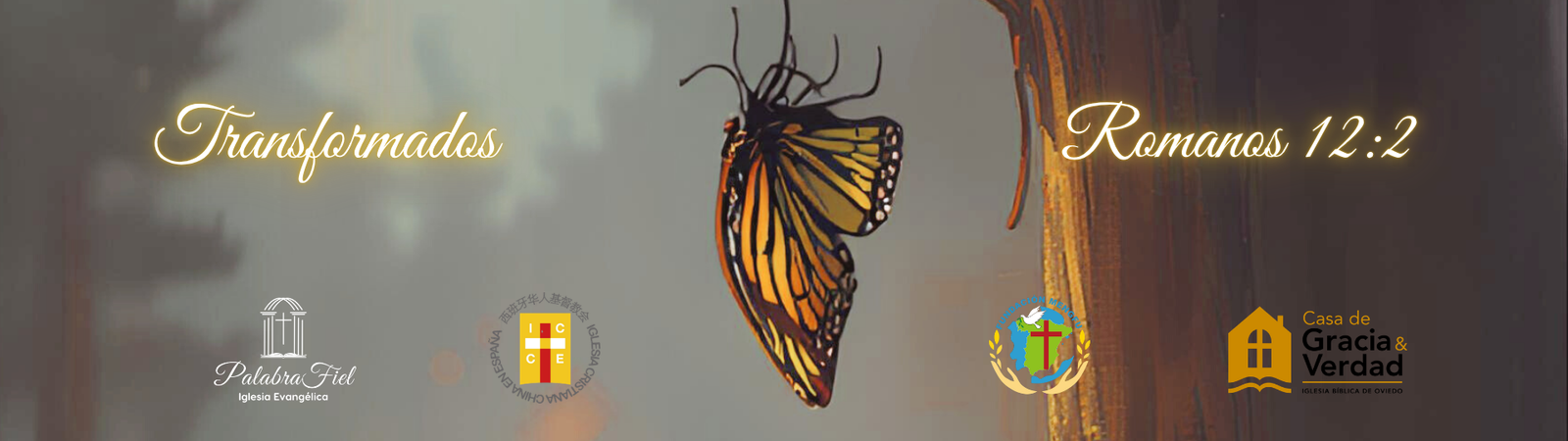 Banner Campamento Superior